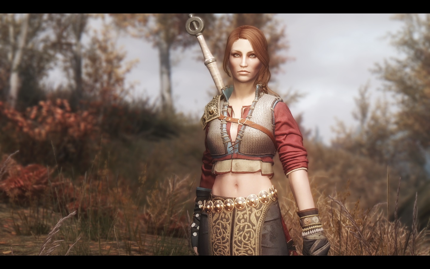 skyrim nexus female armor mods